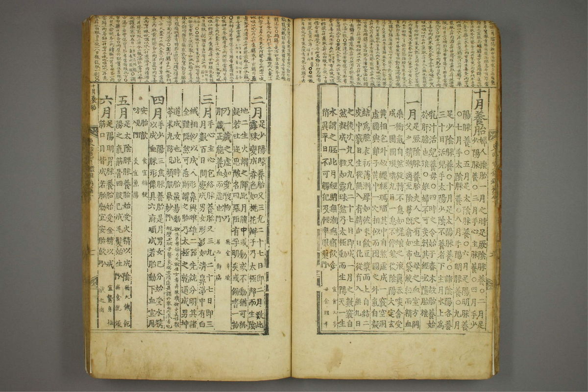 东医宝鉴(第1252页)