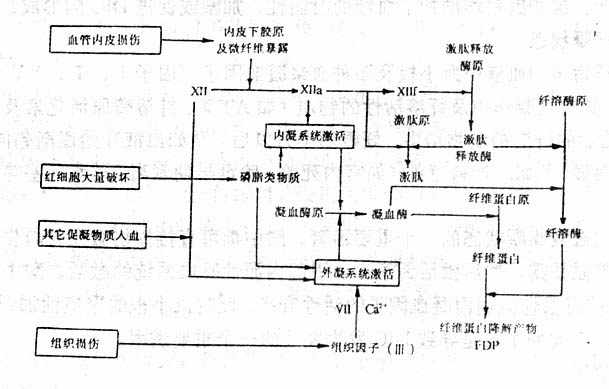 内因和外因的原理_简述内因与外因辩证关系原理的内容(2)