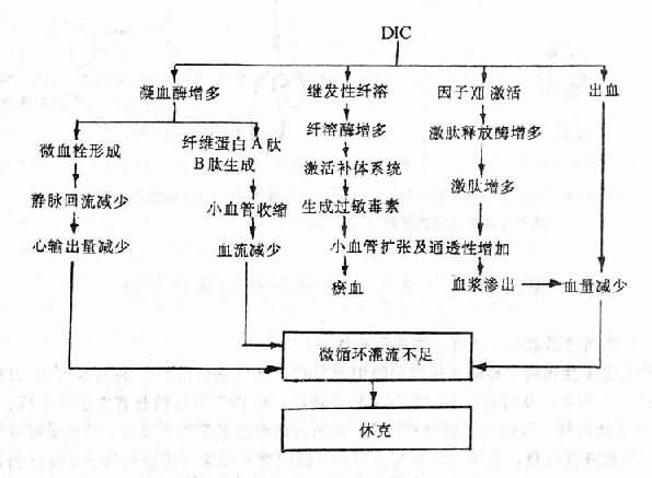 碱发原理是什么_碱铝是什么