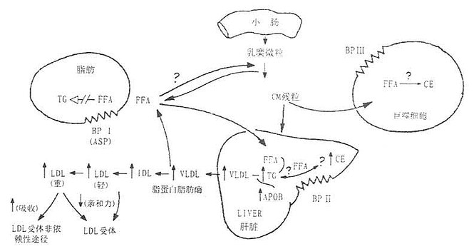 特异蛋白减压术的原理_多功能聚合物 药物二元体与细胞内的特异蛋白识别与活性调控原理图(2)