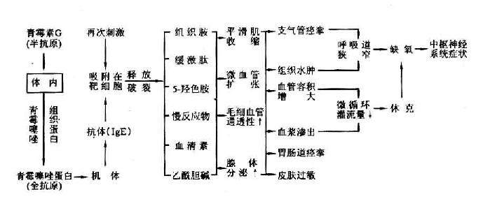 中药发汗是指什么原理_幸福是什么图片(2)