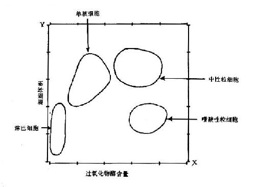 渗透检测的原理是什么_渗透检测原理(2)