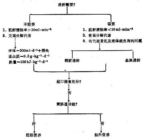 肾功衰竭的营养支持 