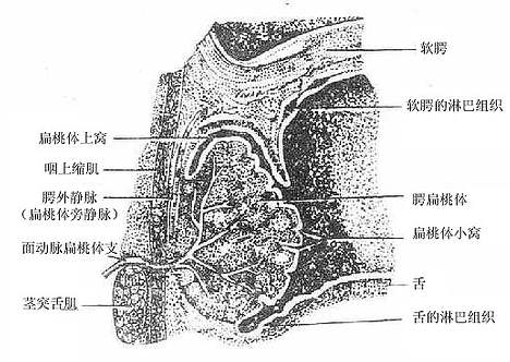 rentijiepouxue253.jpg