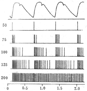 单根窦神经压力感受器传入纤维在不同动脉压时的放电图