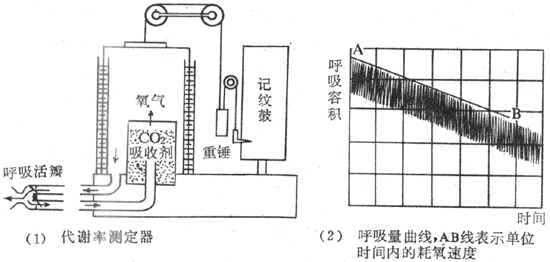 肺量计结构模式图