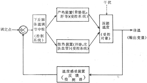 体温调节自动控制示意图