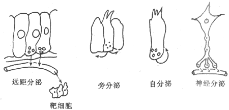 第一节　概述