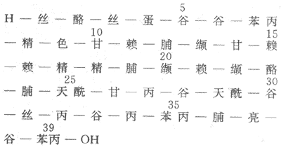 人ACTH的化学结构