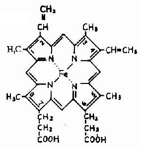 血红素的结构式