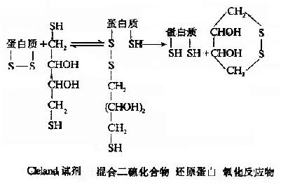 蛋白质一级结构的测定方法