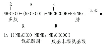 shengwuhuaxueyufenzishengwuxue044.jpg