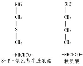 蛋白质一级结构的测定方法