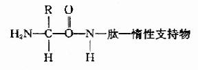 蛋白质一级结构的测定方法