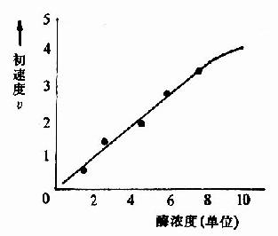 二、底物浓度对反应速度的影响