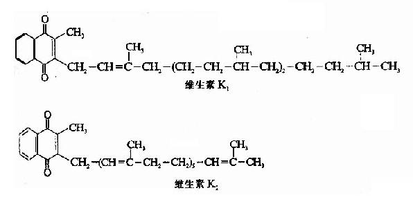 4.维生素K