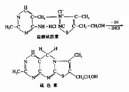 一、维生素B复合体