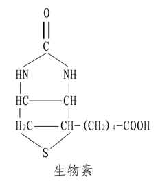 一、维生素B复合体