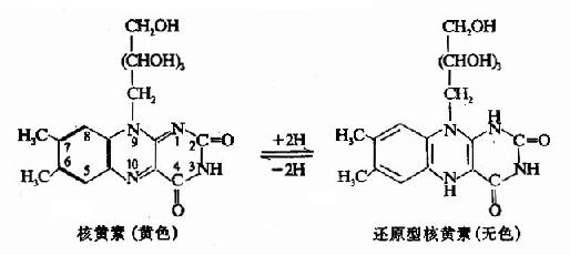 一、维生素B复合体