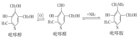 一、维生素B复合体