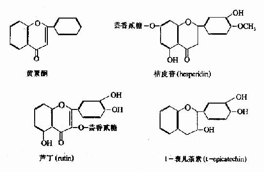 二、维素素C和P