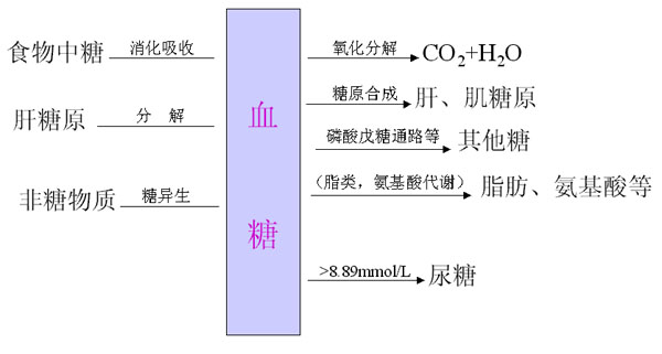 三、神经调节