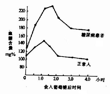 四、糖代谢障碍