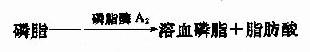 二、脂类的消化和吸收