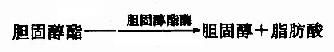 二、脂类的消化和吸收