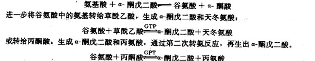 一、氨基酸的脱氨基作用