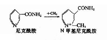 甲基结合反应