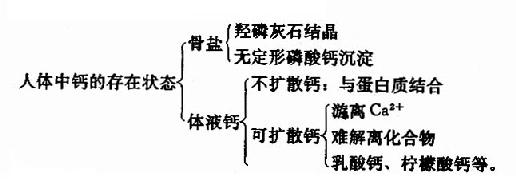 第一节　钙磷代谢