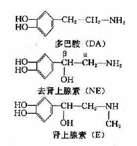 二、儿茶酚胺类(Catecholamines)