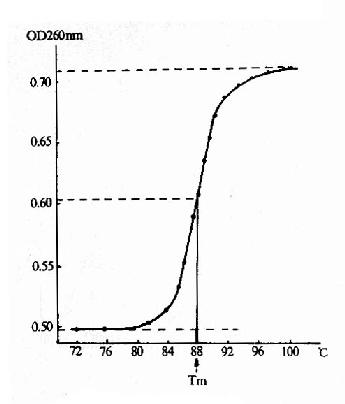 核酸的解链曲线