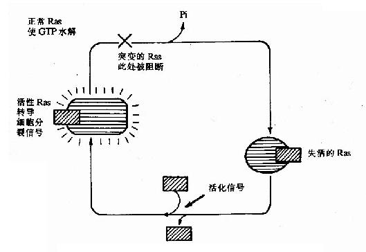 gdp化学_化学实验图片