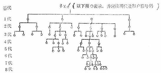 第三节近交系的培育技术当前章节内容组合