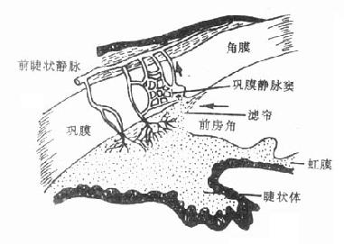 第二节m胆碱受体激动药当前章节内容组合