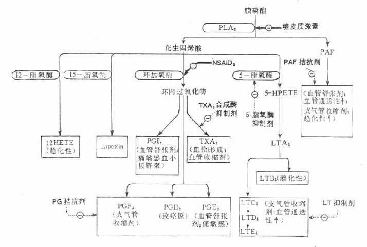 第904章 水晶换人口_商城兑换的水晶挂饰(3)