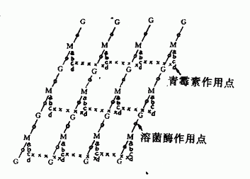 小提琴谱有没有低音谱号(3)