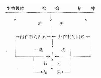 专栏31-2动机