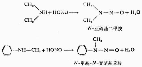 二、胺的性质