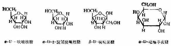 一、单糖的结构