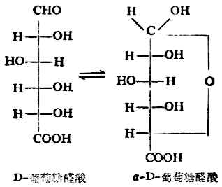 三、重要的单糖及其衍生物