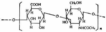 β－D-葡萄糖醛醛酸　N-乙酰基－D－氨基葡萄糖