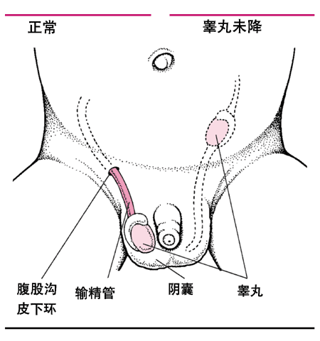 点看全图