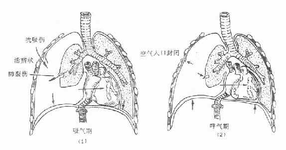 xiongwaikexue006.jpg